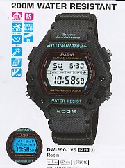 CASIO DW290 Distribuidor de pilas, relojes, baterias